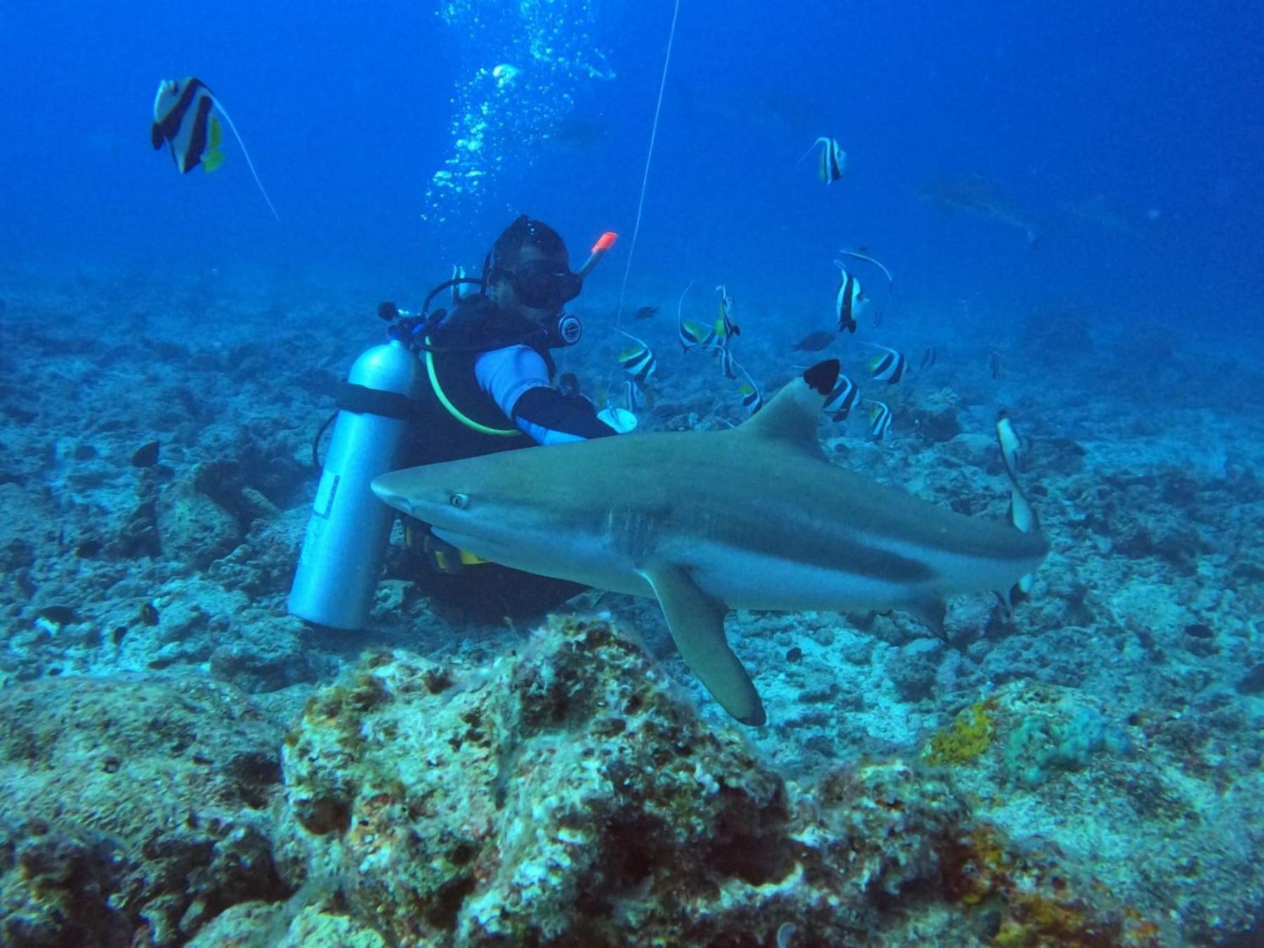Ratu Kini Dive & Stay Остров Мана Экстерьер фото